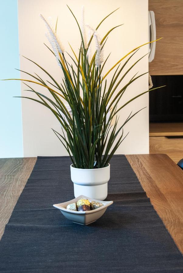 N10 Apartment Belgrád Kültér fotó